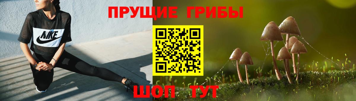 Псилоцибиновые грибы Psilocybe Сафоново